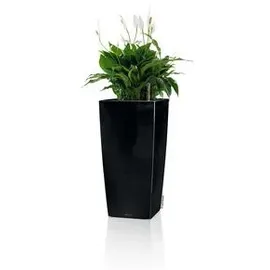 LECHUZA Cubico 22 Komplettset 22 x 22 x 41 cm schwarz hochglanz