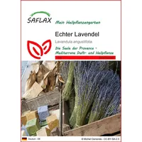 SAFLAX - Heilpflanzen - Echter Lavendel - 150 Samen