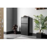 gowoll Schuhschrank Schmal Schuhregal Metall Schuhkipper mit Magnet Klappen Schuhablage (Schuhschrank Metall 2 - 3 - 3+1 - 4 Klappen, Montiert und Wandmontage) 50 cm Breit schwarz