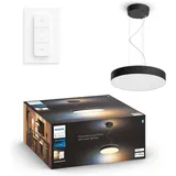 Philips Hue Enrave schwarz