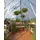 Palram Balance Alu silber HKP 4 mm 15 m2 inkl. Fundament