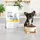raw paleo Ultra Truthahn Mini Puppy 8 kg