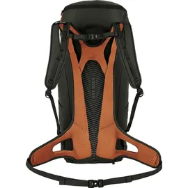 Salewa Alp Mate 26 l grün