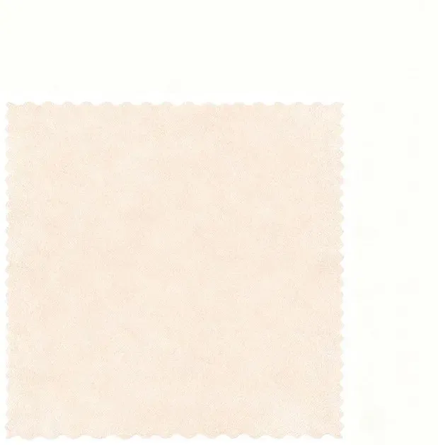BJ Einweg-Spüllappen aus Schwammschwämmchen (25 x 25 cm) - 20 Stück