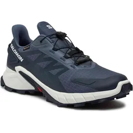Salomon Supercross 4 GTX Herren Grisaille/White/Carbon 46 2/3
