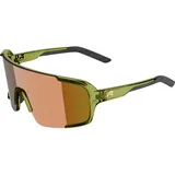 Alpina Lumin Sonnenbrille M grün-transaprent gloss