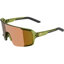 Alpina Lumin Sonnenbrille M grün-transaprent gloss