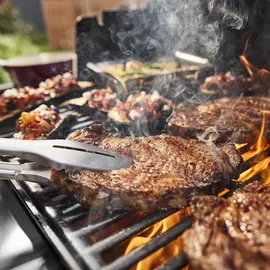 Weber Genesis E-415 Gasgrill 2024 Schwarz