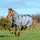 Bucas Smartex Turnout Rain Regendecke Iron Gate 125