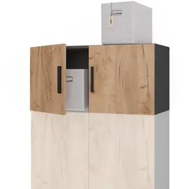 Vicco Ingo Aktenschrank 80 x 40 x 40 cm Anthrazit/Goldkraft Eiche
