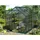 Vitavia Apollo 5000 grün HKP 6 mm 5 m2 inkl. Fundament