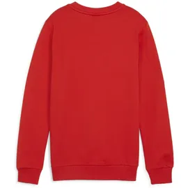 Puma teamGOAL Casuals Crew Neck Sweatshirt Jungen 01 red/white 116