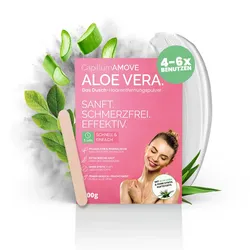 Arte Fiori Dusch-Haarentfernung Capillum Amove Aloe Vera, 300 Gramm