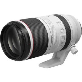 Canon RF 100-500 mm F4,5-7,1L IS USM