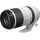 Canon RF 100-500 mm F4,5-7,1L IS USM