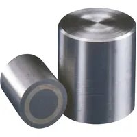 Industrial Quality Supplies Beloh Magnetstabgreifer D.13xH.18mm glatt Haftkraft 12N