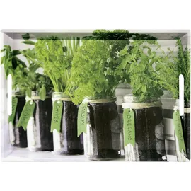 KESPER Serviertablett Herbs