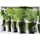 KESPER Serviertablett Herbs