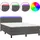 vidaXL Boxspringbett mit Matratze & LED Dunkelgrau 140x200 cm Samt