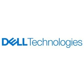 Dell AB673817 1 TB M.2 2230