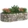 vidaXL Gabionen-Hochbeet 200 x 100 x 50 cm