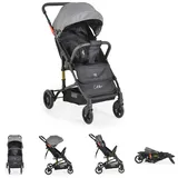 Moni Kinderwagen Buggy Colibri, faltbar,