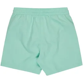BILLABONG All Day Layback Badeshorts Grün 12