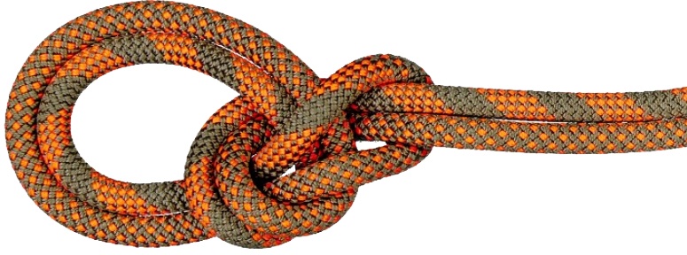 Mammut Crag Dry Rope 9.5 - Kletterseil