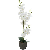 artplants.de Phalaenopsis Orchidee künstlich Katalin, Dekotopf, weiß, 80cm - Kunstorchidee