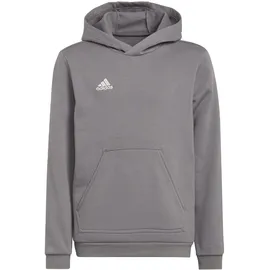 Adidas Entrada 22 Sweat Hoodie Team Grey Four, 176