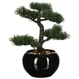 Atmosphera Créateur d'intérieur Künstlicher Bonsai-baum, in schwarz | Gr.: onesize
