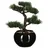 Atmosphera Créateur d'intérieur Künstlicher Bonsai-baum, in schwarz | Gr.: onesize