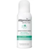 Allpresan Derma med Hand Intensivpflege Schaum 100 ml