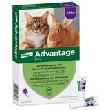 Advantage 80 mg für gr.Katzen und gr.Zierkaninchen