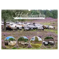 Calvendo Heidschnucken, die prächtigen Schafe der Lüneburger Heide (Wandkalender