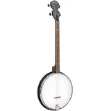 Gold Tone AC-4 Openback Tenor Banjo