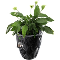 Kadax Blumentopf mit Einsatz und Griffen, 40 cm, Schwarz,