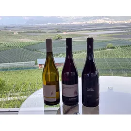 Cantina Kurtatsch Chardonnay Caliz DOC 2024 Kurtatsch