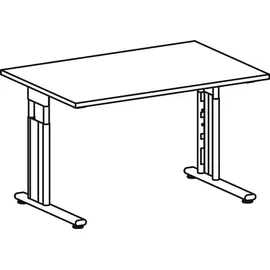 Geramöbel Schreibtisch C Fuß Flex S-617102 lichtgrau/silber