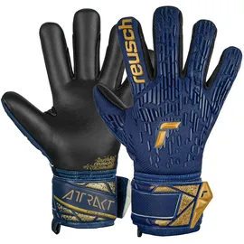 Reusch Attrakt Freegel Silver Junior Blau/Gold 4