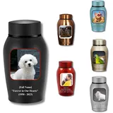 Bethel Personalisierbare Urne für Hunde und Katzen mit Foto und Namen, Gedenkurne aus Titanstahl, Urne für Tierasche, personalisiertes Andenken