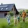 Qoltec Hybrid Off-Grid Solar Wechselrichter 3500W 24V MPPT BMS WLAN
