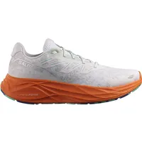 Salomon Aero Glide 2 Herren White/Cherry Tomato/Electric Green 44 2/3