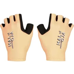 Maloja PietrosM. apricot (8834) L