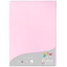 Clairefontaine Briefumschlag 10x Packung mit 25 Blatt A4 210x297 210g/m2 - Bonbonrosa 24213C, Karten und Umschläge pollen rosa