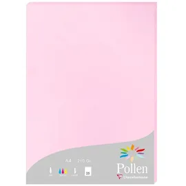 Clairefontaine Briefumschlag 10x Packung mit 25 Blatt A4 210x297 210g/m2 - Bonbonrosa 24213C, Karten und Umschläge pollen rosa