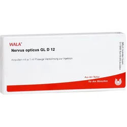 Nervus Opticus Gl D12