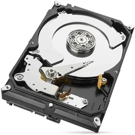 Seagate IronWolf 4 TB 3,5" ST4000VN008