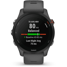 Garmin Forerunner 255 46 mm schiefergrau/schwarz