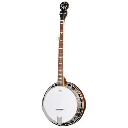 Epiphone Mastertone Classic Banjo - Bluegrass Banjo